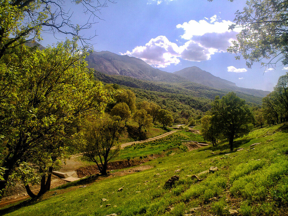 کوه کلنگ زاگرس کجاست؟