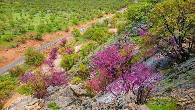 خطرناک ترین دره های ایران