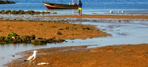 زیباترین جزیره ایران کدام است؟