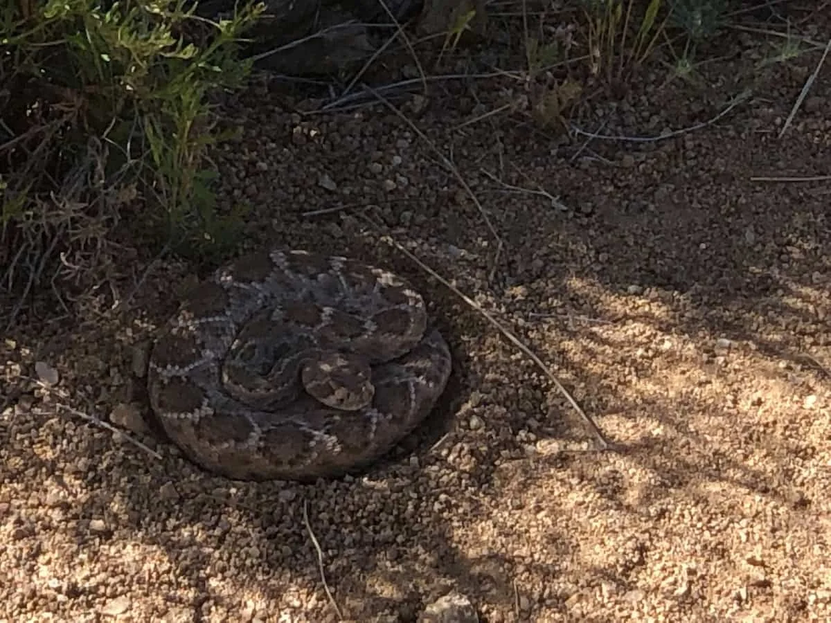 فواید استفاده از باتوم کوهنوردی