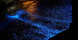 زیباترین جزیره ایران کدام است؟