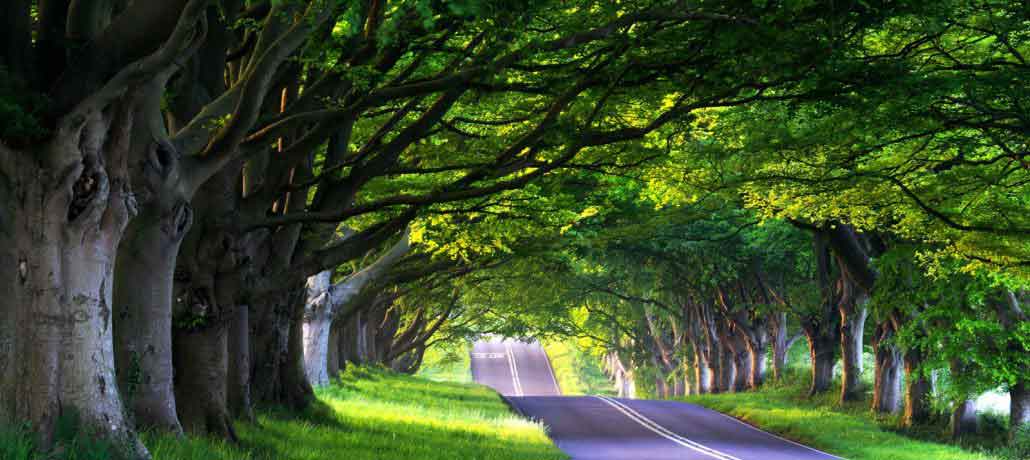 جاذبه‌ های طبیعی ایران