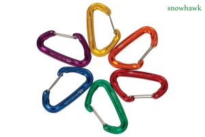 کارابین کوهنوردی چیست؟