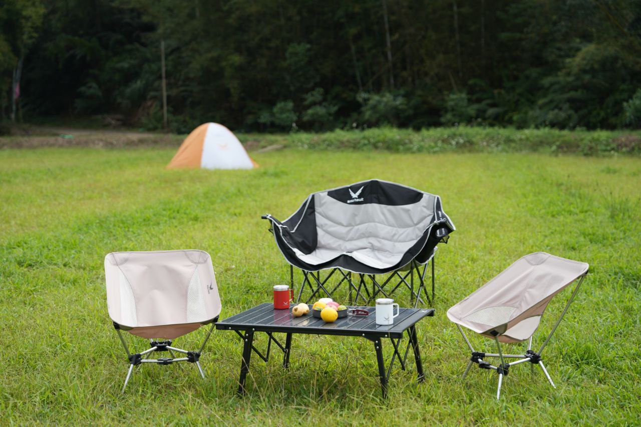 صندلی مسافرتی چیست؟