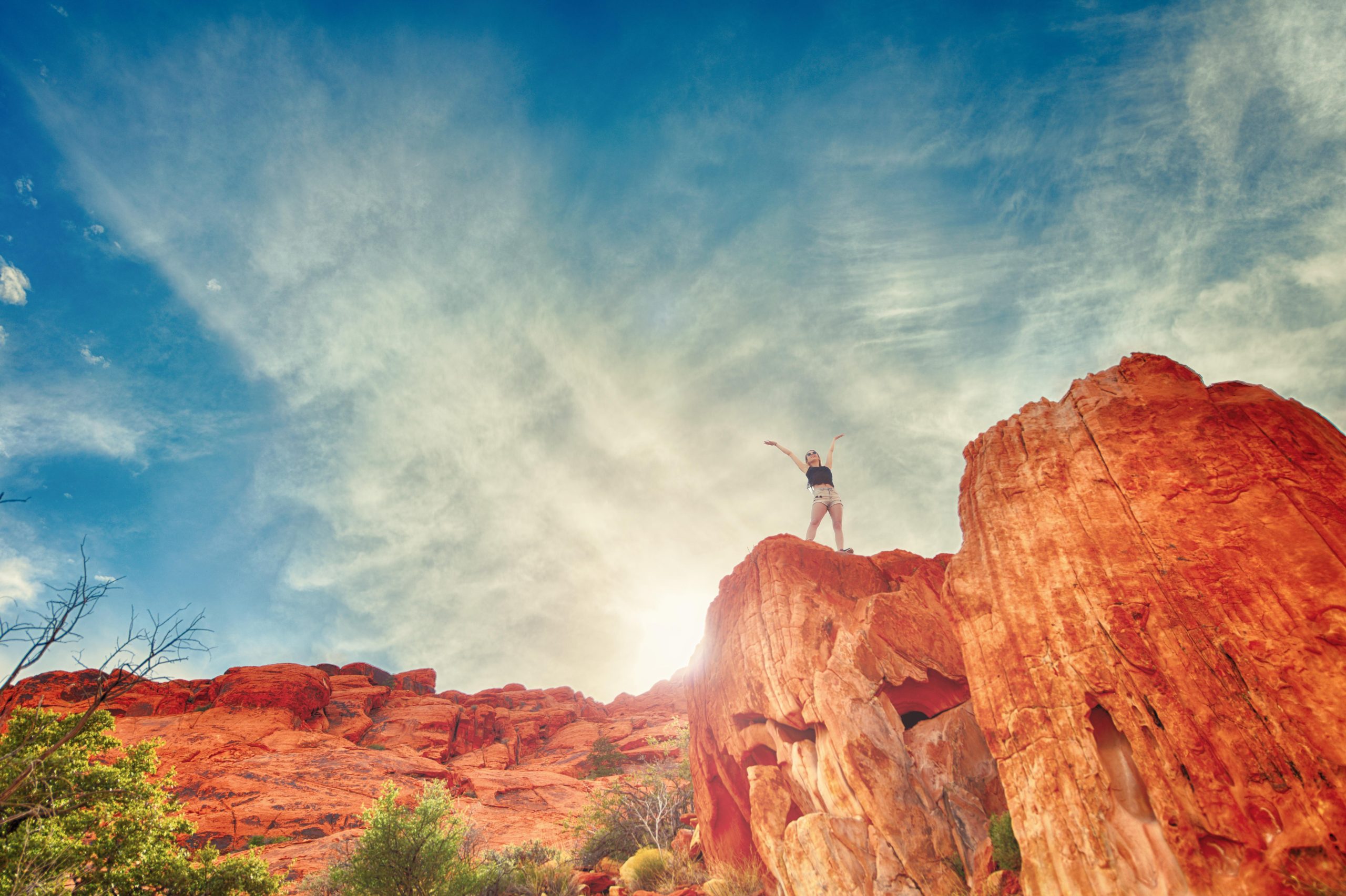 born for adventure یعنی چه؟