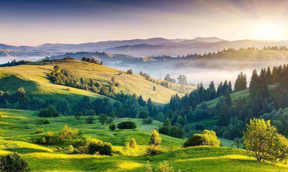 طبیعت گردی چیست؟
