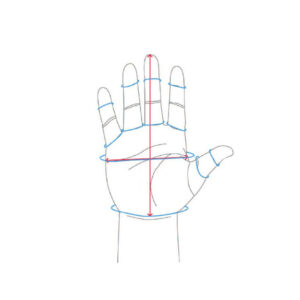 جدول سایز دستکش اسنوهاک